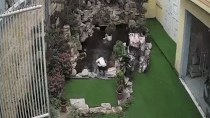 Tre bat can roi xuong ho ca gap nguy hiem hinh anh