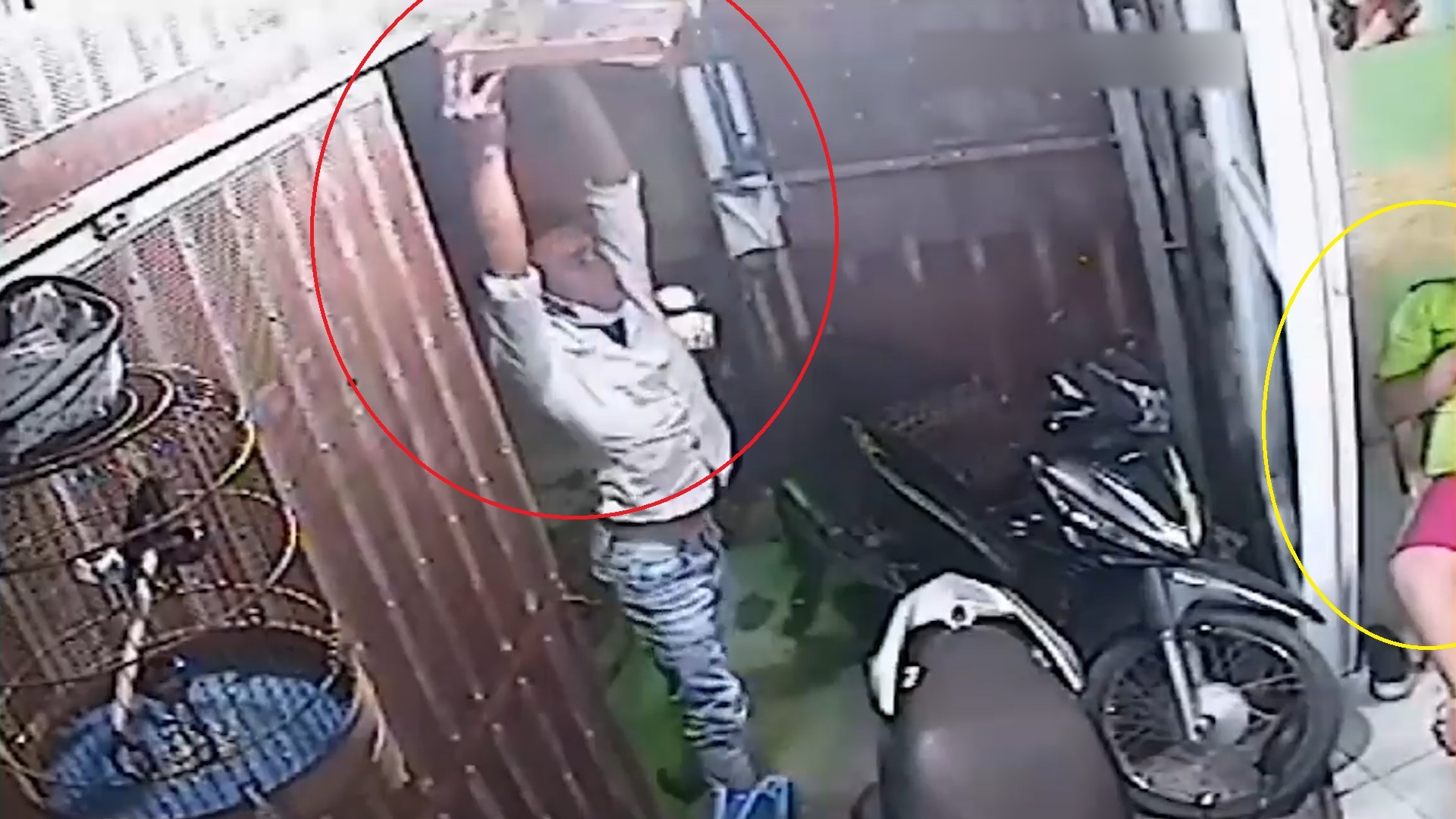 Trom be long chim bo chay truoc mat chu nuoi hinh anh