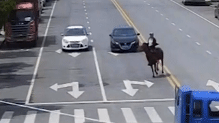 Nguoi dan ong cuoi ngua tren duong pho Trung Quoc hinh anh