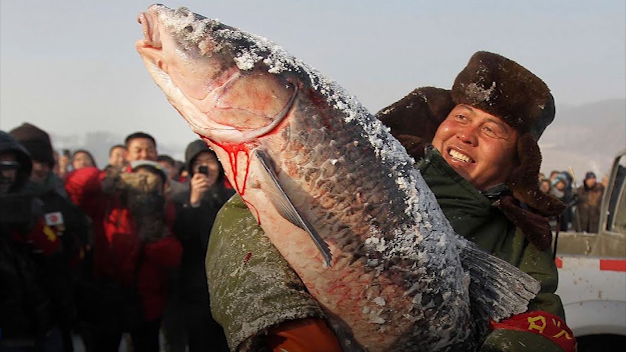Hai anh em Trung Quoc cau ca tren song bang thu hut trieu nguoi xem hinh anh