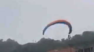 Du luon cung nguoi dan ong bi gio thoi bay vao day dien hinh anh