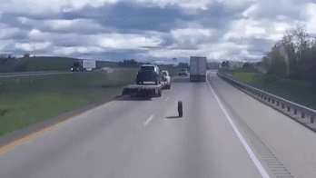 Xe ban tai keo ro mooc danh roi 2 lop xe hinh anh