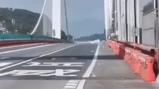 Cay cau rung lac nhu song khi gap gio manh o Trung Quoc hinh anh