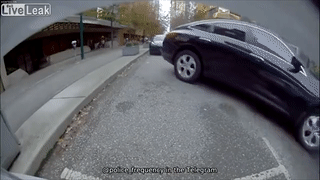 Tai xe dap nham chan ga, oto di lui roi lat ngua hinh anh