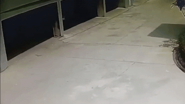 Xe may lao ra duong khong quan sat bi oto dam trung hinh anh