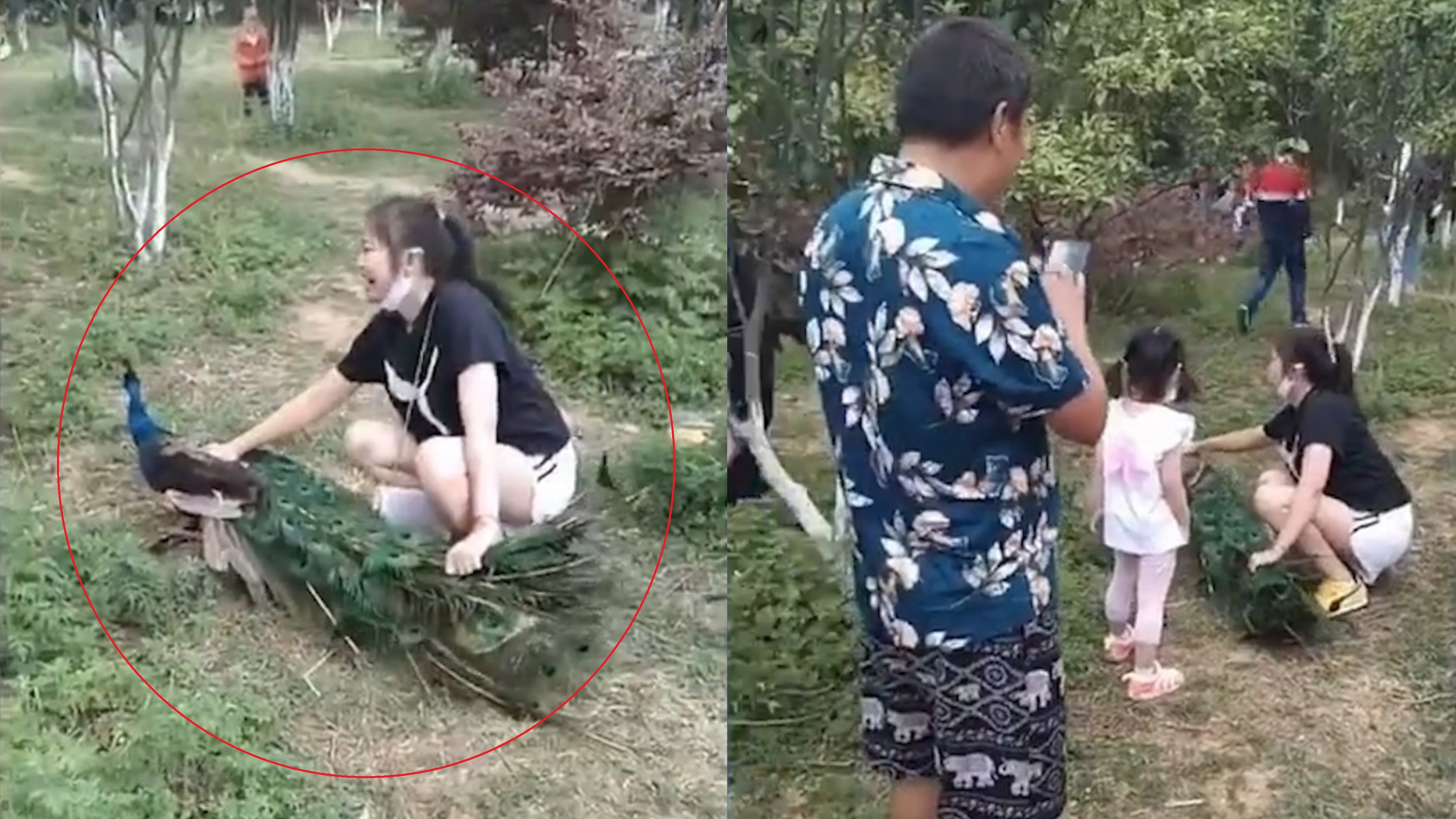 Nguoi phu nu tum duoi, ghi chat con cong trong cong vien de chup anh hinh anh