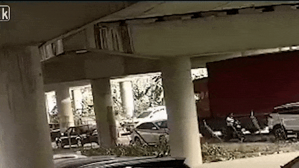 Container va cham voi gam cau khien 20.000 chai bia bi pha huy hinh anh