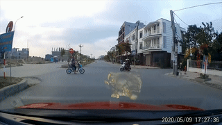 Mot phu nu suyt bi oto tong khi qua duong dot ngot hinh anh