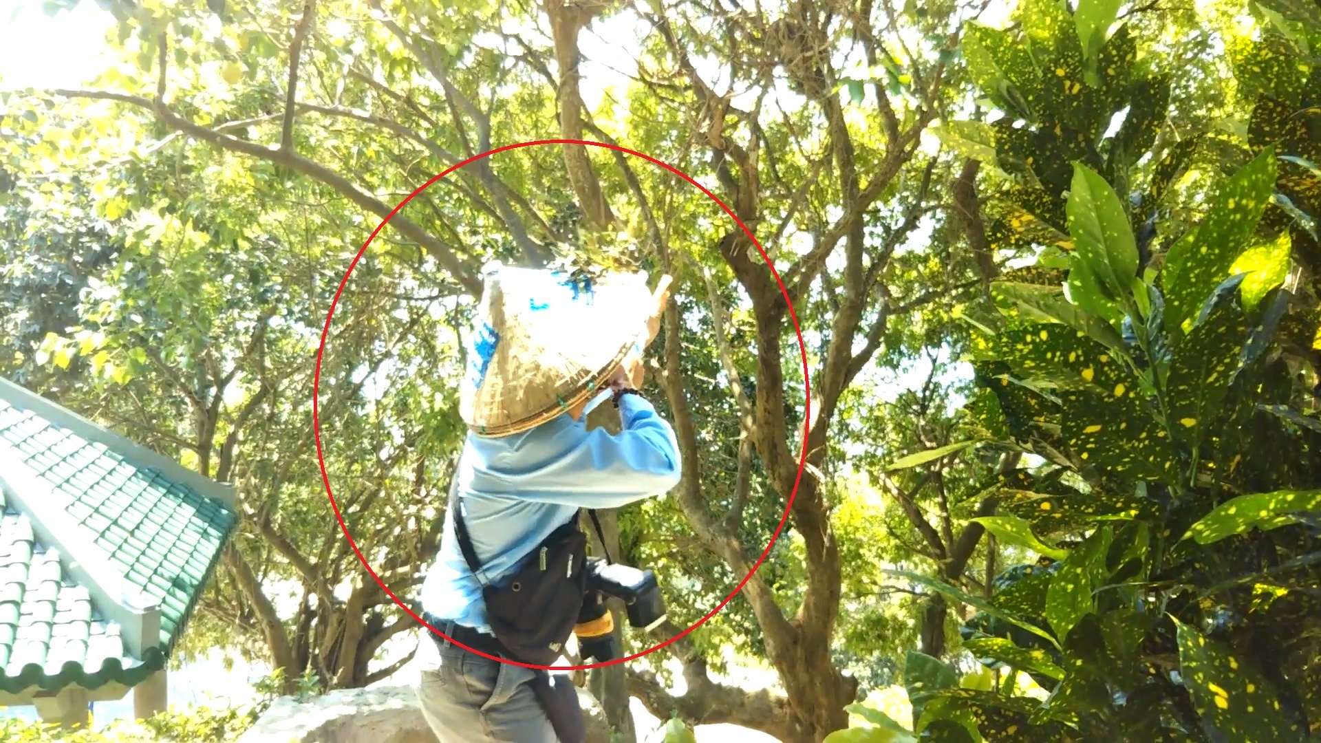 Nguoi dan ong dung na ban khi o chua Linh Ung Da Nang hinh anh