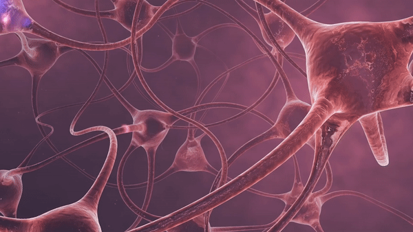 Te bao cung dau nhat co the nguoi, ton tai hang chuc trieu nam hinh anh