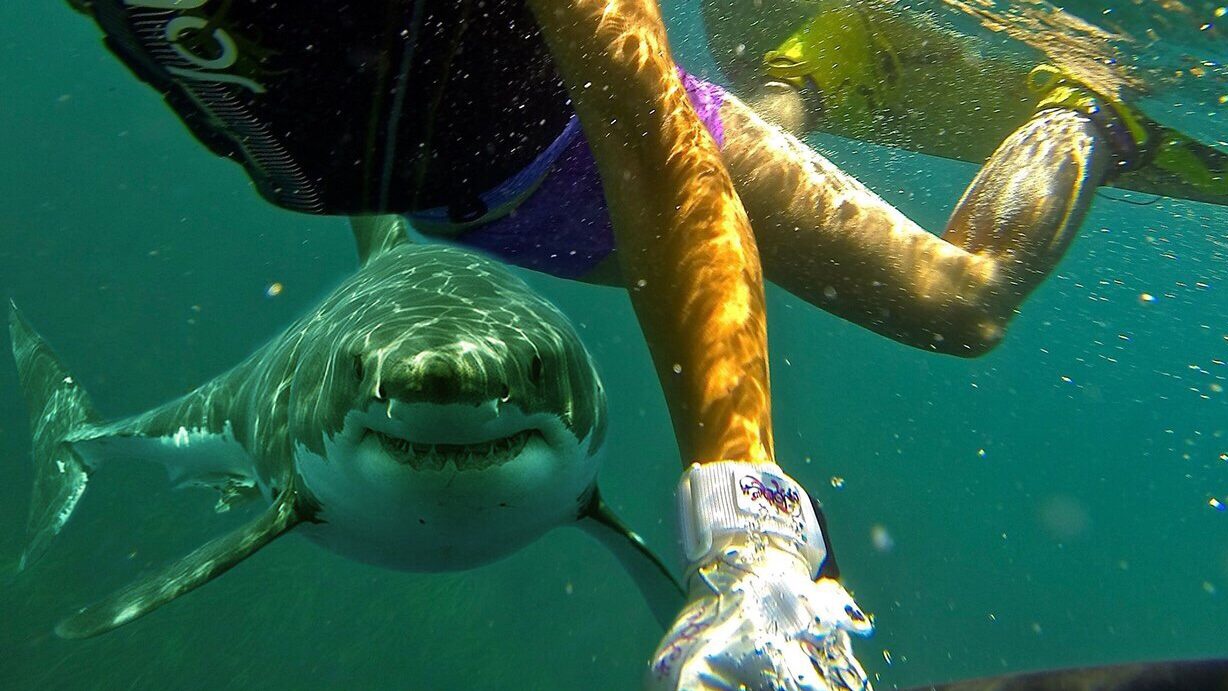 Lam the nao de ngan bi ca map can khi dang lan? hinh anh