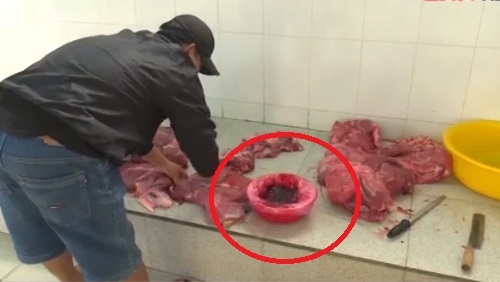 Ho bien thit heo thanh thit bo bang dung dich hinh anh