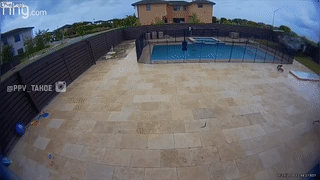 Oto mat kiem soat dam vao hang rao, bay qua ho boi hinh anh