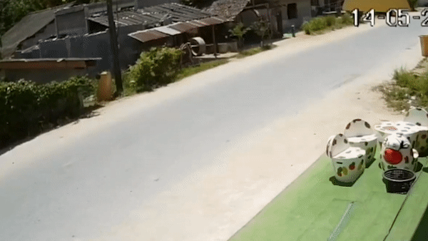 Nguoi dan ong lam roi sung giua duong, vo tinh ban trung cau be 4 tuoi hinh anh