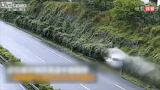 Oto mat lai lao vao hang cay tren duong cao toc roi lat ngua hinh anh