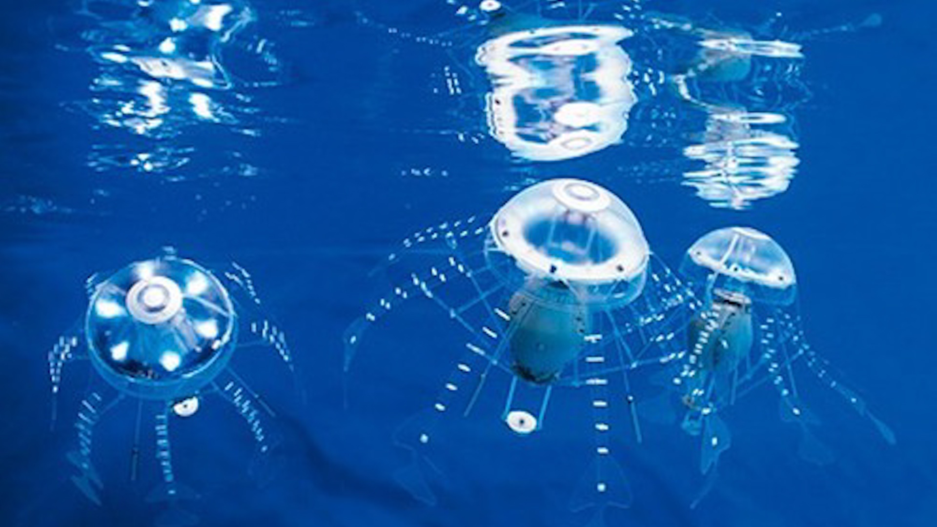 Jellybots: 'Robot sua' giup con nguoi tham hiem dai duong hinh anh