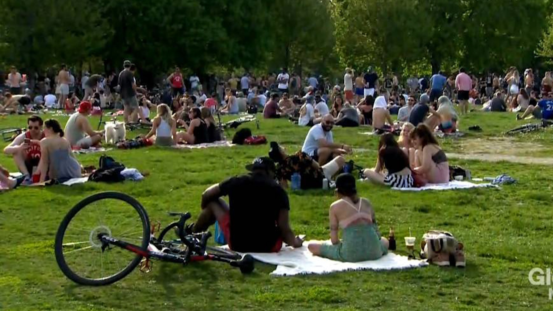 Loi khan cau cua bac si doi voi dam dong tu tap o Canada giua dich hinh anh