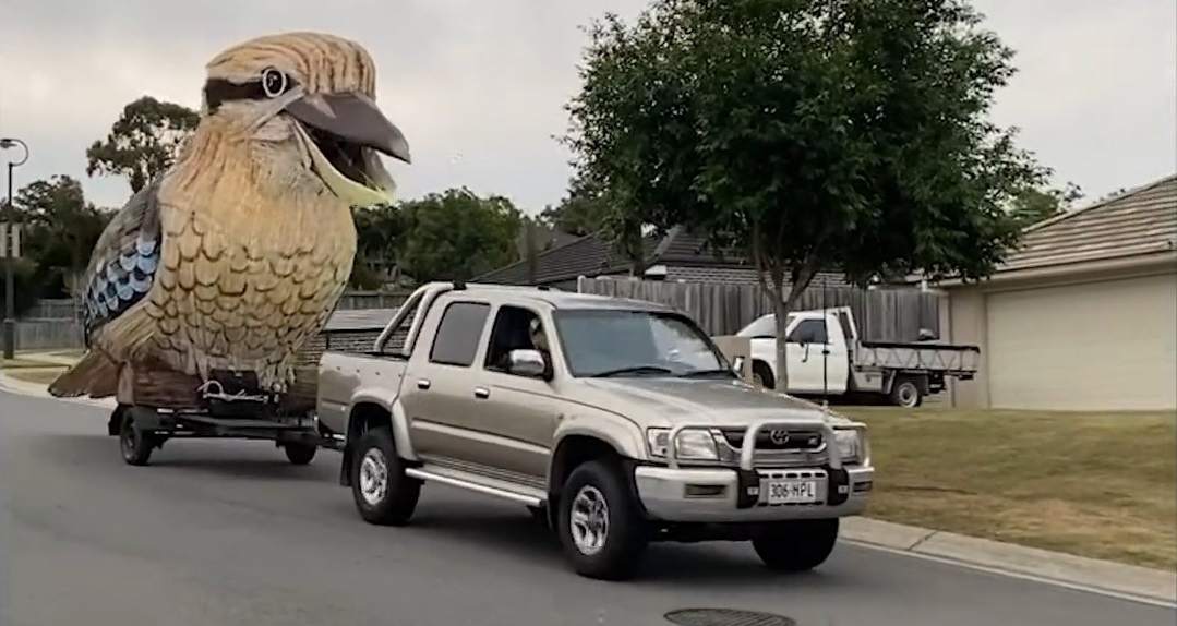 Che mo hinh chim boi ca nang 750 kg roi keo di khi bi phong toa hinh anh
