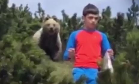 Me hot hoang khi thay gau bam theo con trai dang di xuong nui hinh anh