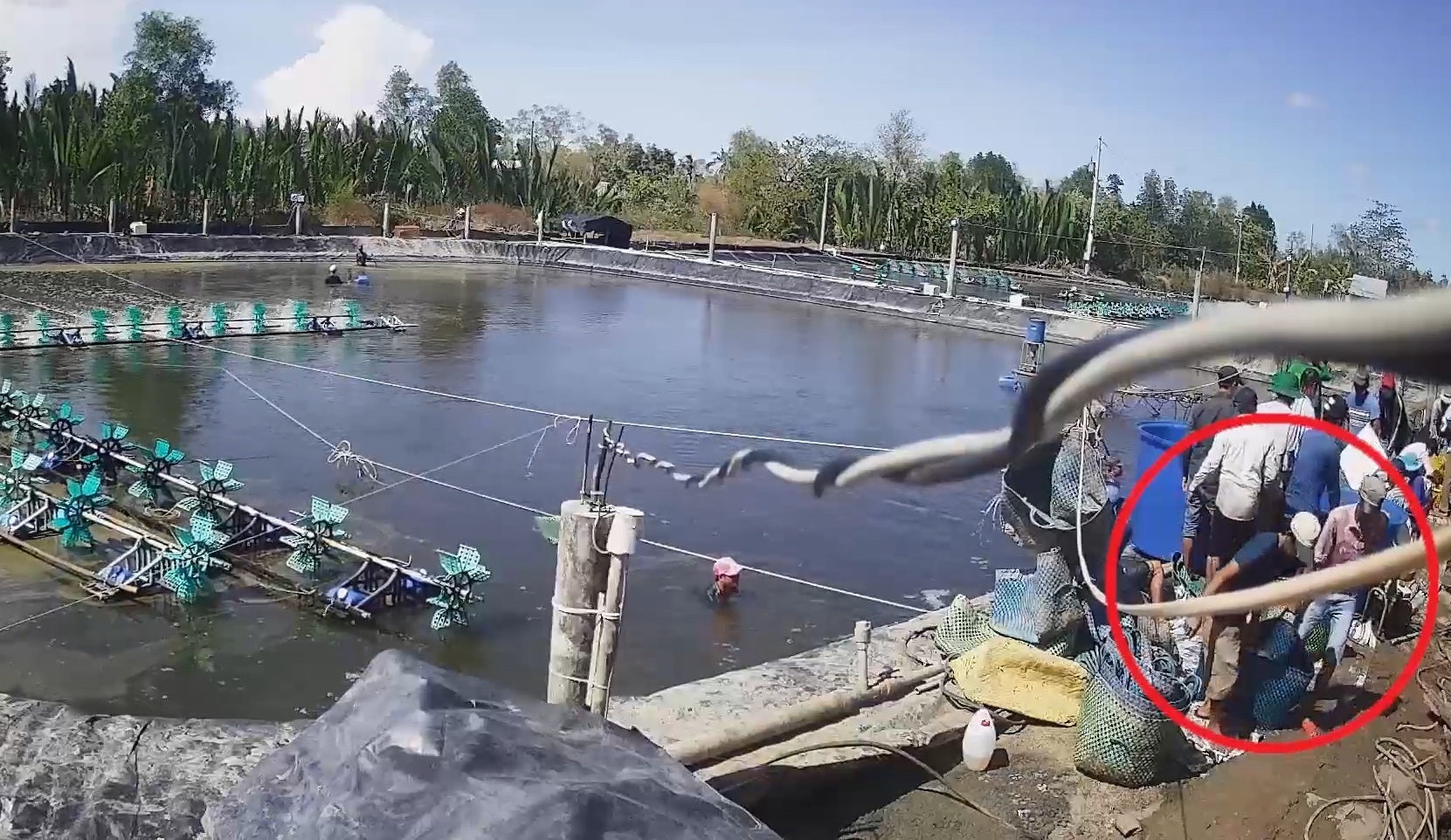 Lat tay tro trom tom co to chuc o Ca Mau hinh anh