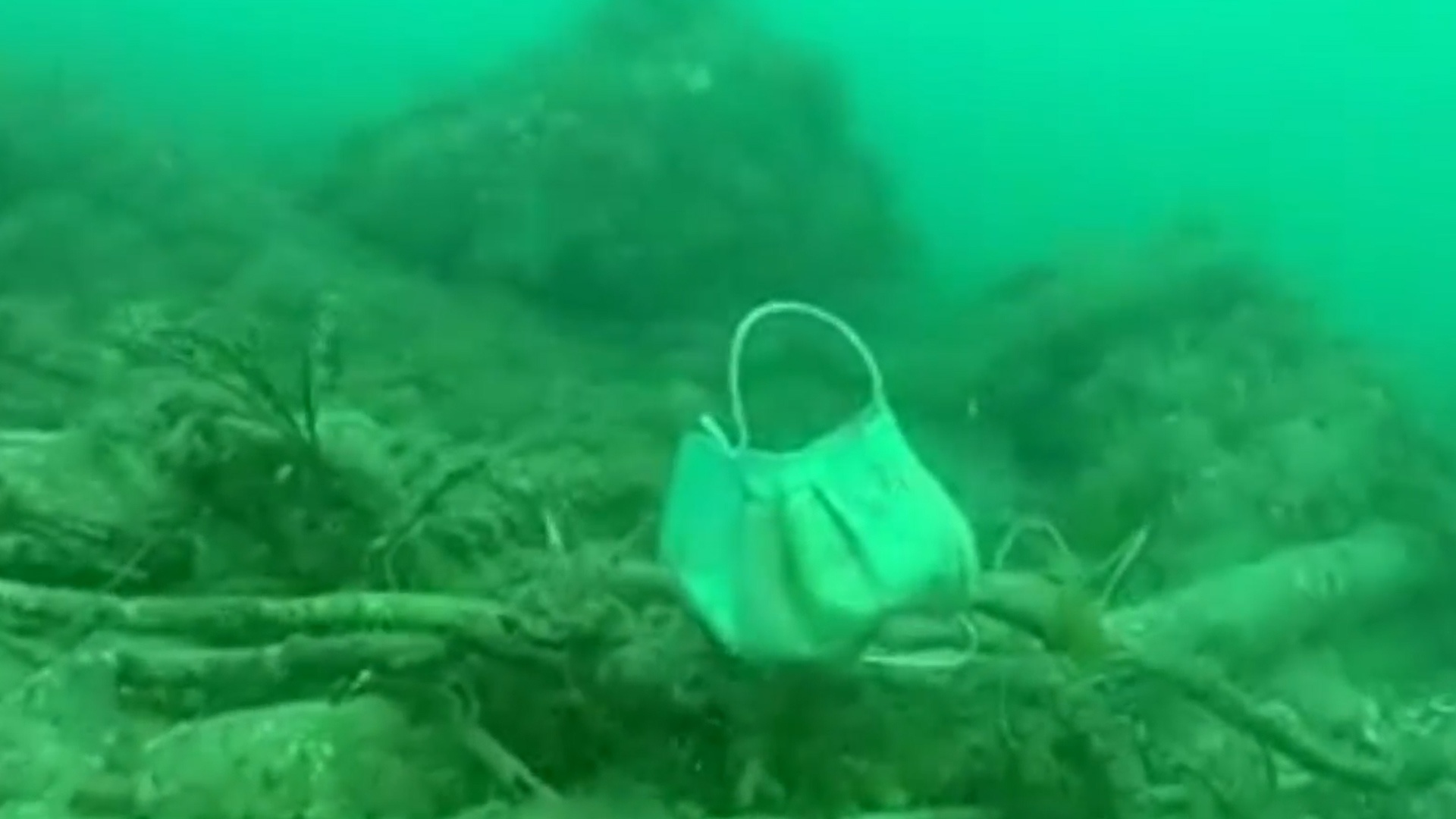 Phat hien chan dong duoi day bien Dia Trung Hai hinh anh