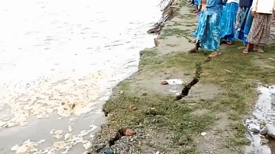 Nguoi dan ong suyt chet khi dung gan bo song xem nuoc lu hinh anh