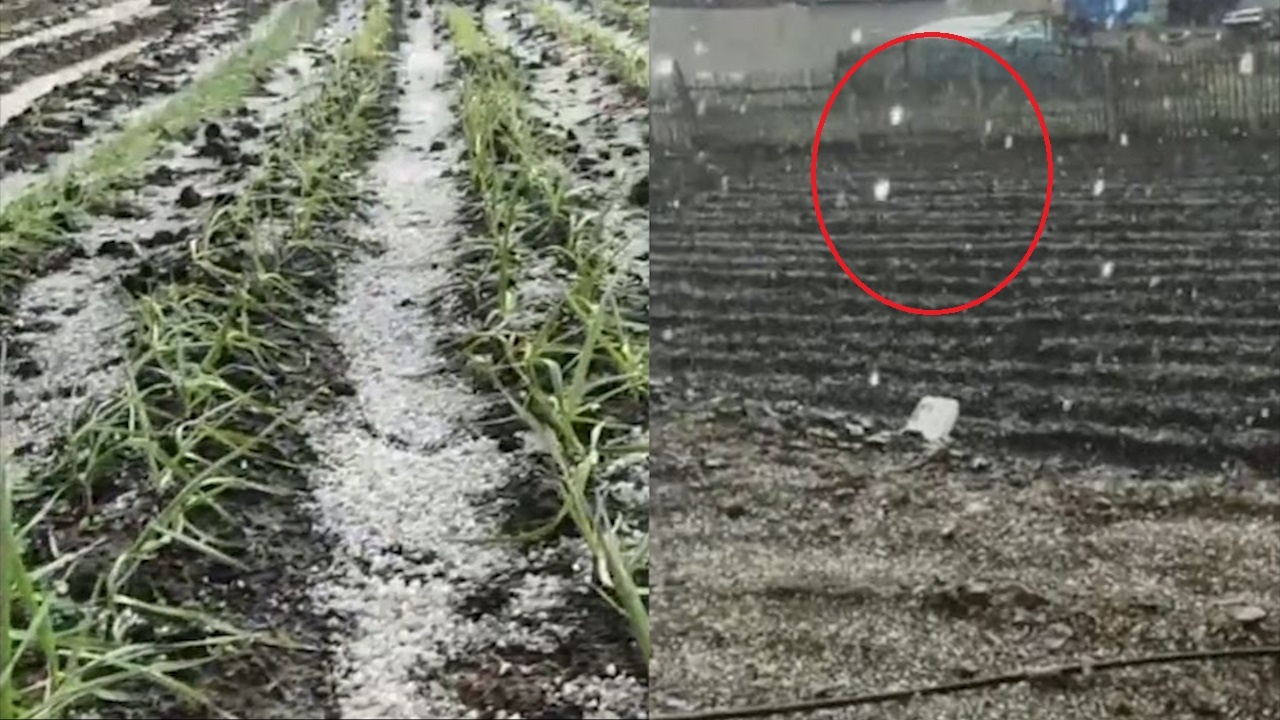 Mua da du doi gay ngap ung nhieu manh vuon o Trung Quoc hinh anh