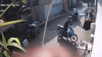 Trom xit hoi cay o TP.HCM hinh anh