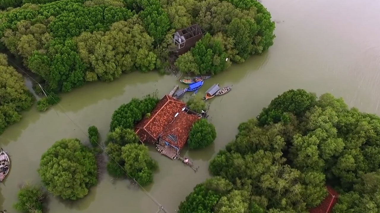 Gia dinh duy nhat song giua ngoi lang dang chim dan xuong bien hinh anh