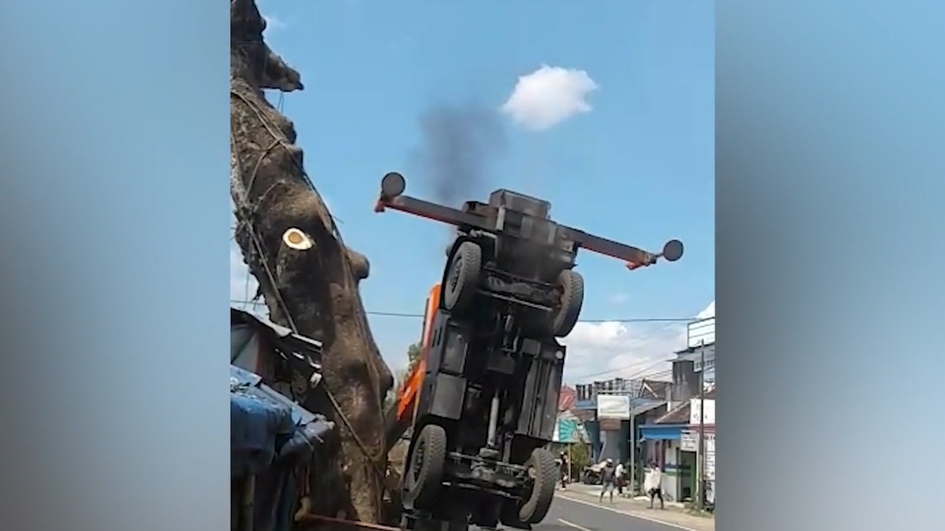 Xe cau bi lat vi nang than cay qua nang hinh anh