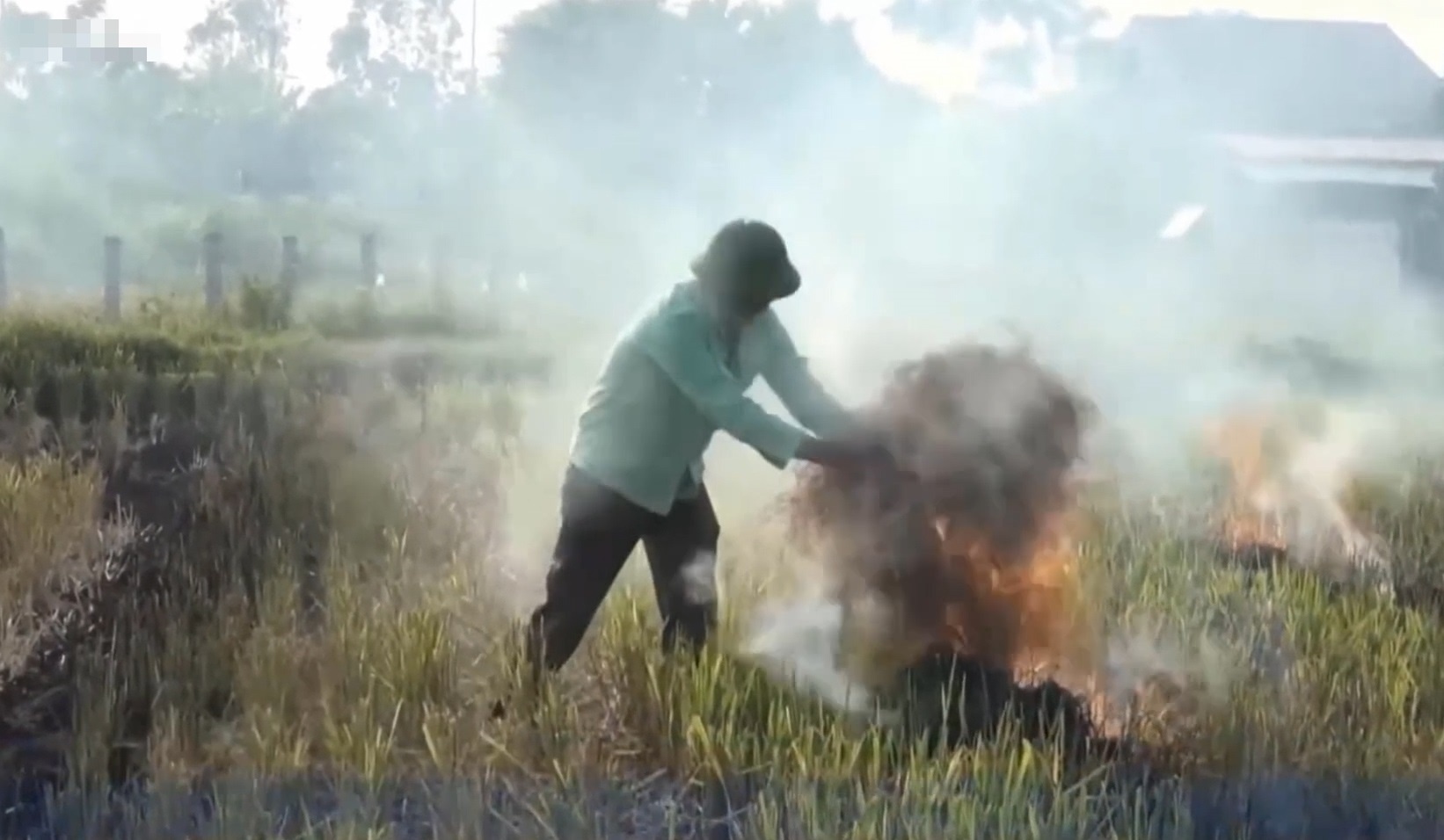 Khoi rom ra mu mit quoc lo ven Ha Noi hinh anh