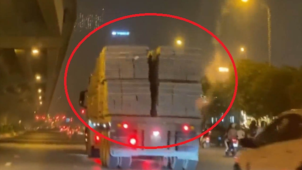 Container cho gach xieu veo, lac lu 'lam xiec' tren duong hinh anh