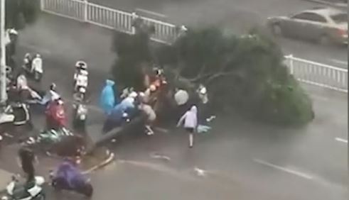 Nguoi di duong hop suc nang cay nga de len nguoi di xe may hinh anh