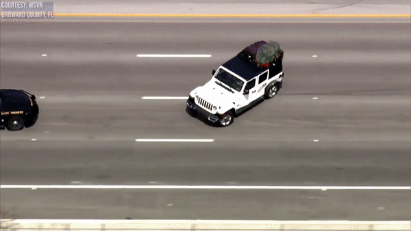 Oto canh sat tong lat xe toi pham bi truy na tren cao toc hinh anh