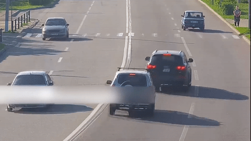 Con cho bang qua duong suyt gay tai nan cho hai oto hinh anh