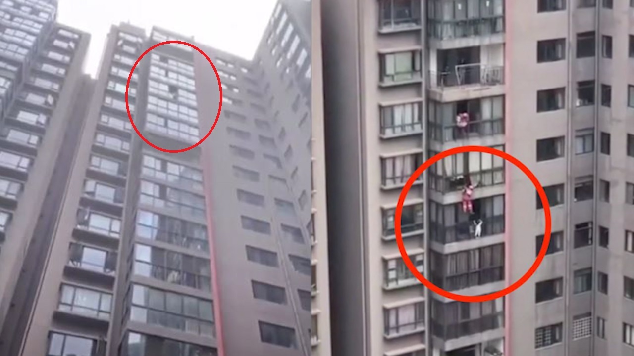 Linh cuu hoa giai cuu co gai treo lo lung tren tang 13 cua chung cu hinh anh