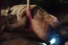 Linh cuu ho giai cuu lac da roi xuong gieng sau 40 m hinh anh