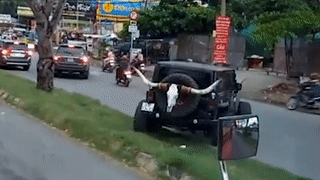 Xe dia hinh chay len hang co de chuyen lan hinh anh