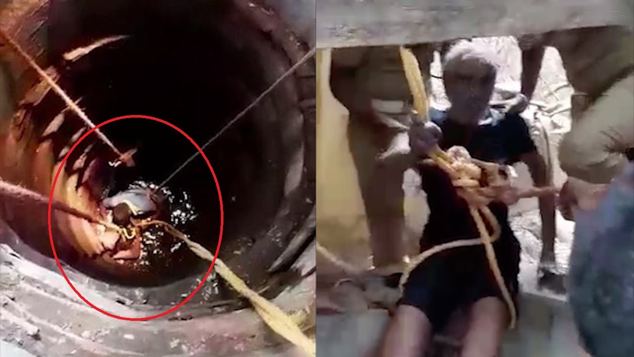 Mai lo cuu meo hoang, cu ong roi xuong gieng sau hon 9 m hinh anh