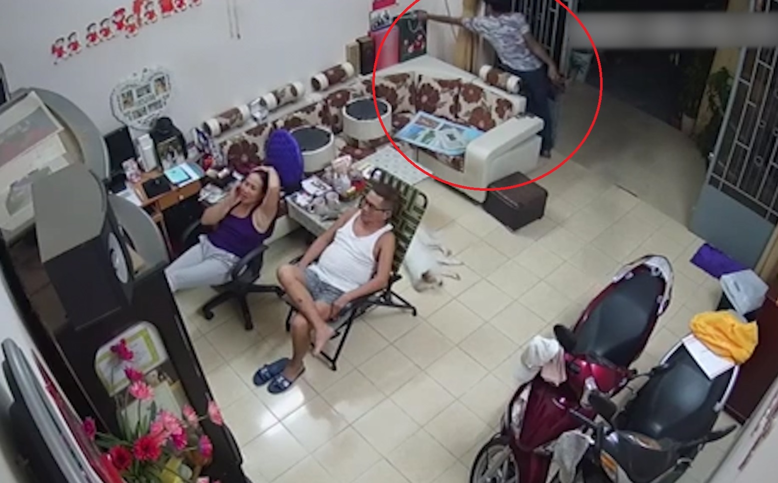 Canh trom lay dien thoai khi gia dinh dang xem tivi hinh anh