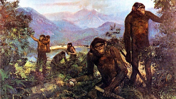 Thoi quen an uong mao hiem cua nguoi tien su hinh anh