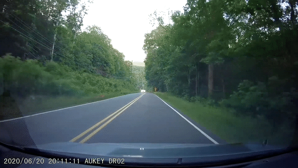 Oto dam trung con nai bang qua duong hinh anh