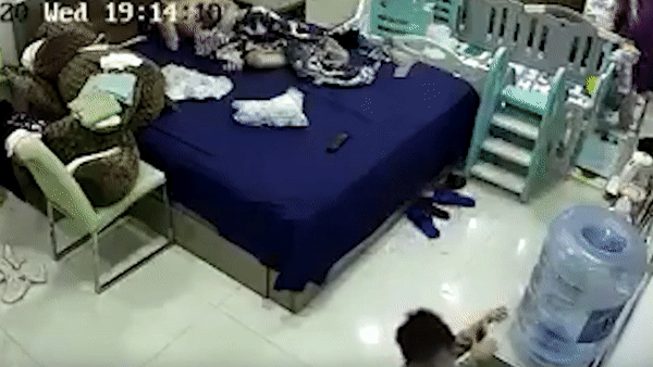 Ong bo lao nhanh nhu cat, cuu con thoat khoi nguy hiem hinh anh