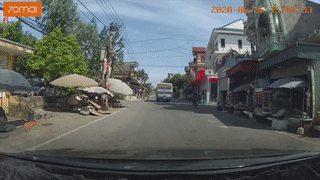 Du lon roi xuong duong trung dau oto hinh anh