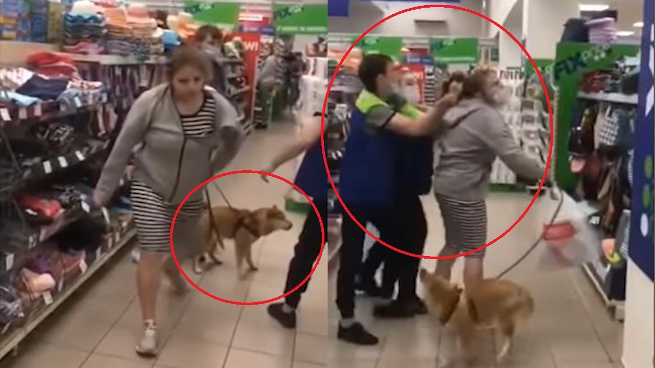 Bi nhac nho vi dat cho cung di mua sam, khach lao vao danh nhan vien hinh anh