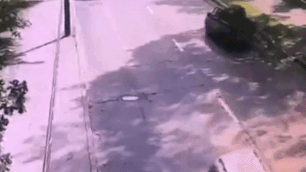 Cay nga ra duong de trung oto dang chay toi hinh anh