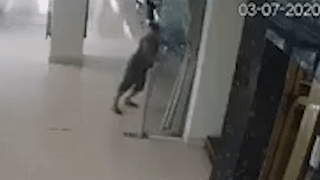 Nguoi phu nu day manh canh cua khien kinh vo vun hinh anh