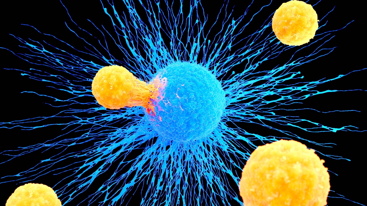 Moi loai benh ung thu co the duoc chua khoi nho te bao dac biet nay hinh anh