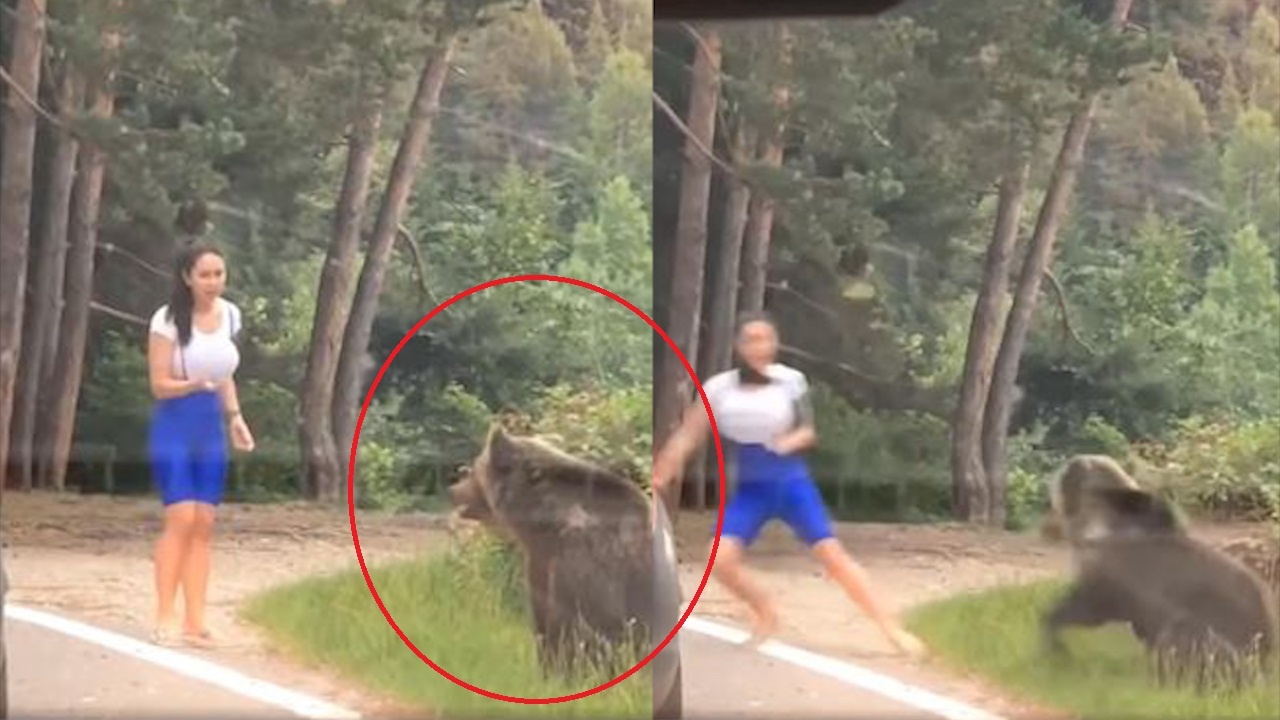 Mai lo tao dang chup hinh, co gai o Romania suyt bi gau vo hinh anh