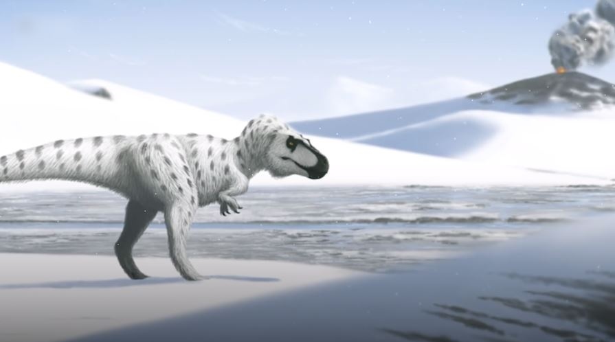 Cach khung long song sot o Bac Cuc hinh anh